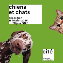 Perros y gatos Poster image for the exhibition titled Perros y gatos