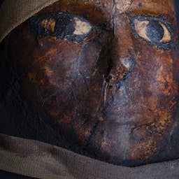 Poster image for the exhibition titled 