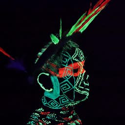 Poster image for the exhibition titled Amazonia: Inheemse creaties en toekomst