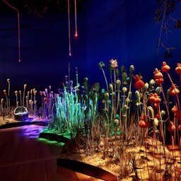 Poster image for the exhibition titled THE VIKING SORCERESS