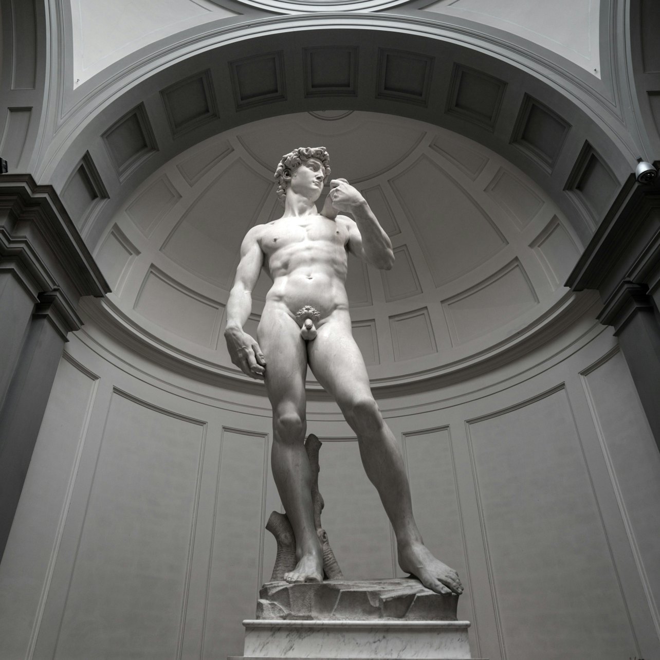 Picture of  in Florence