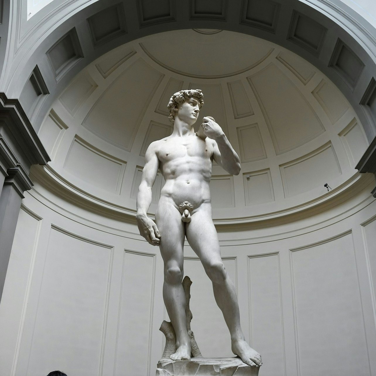 Picture of  in Florence