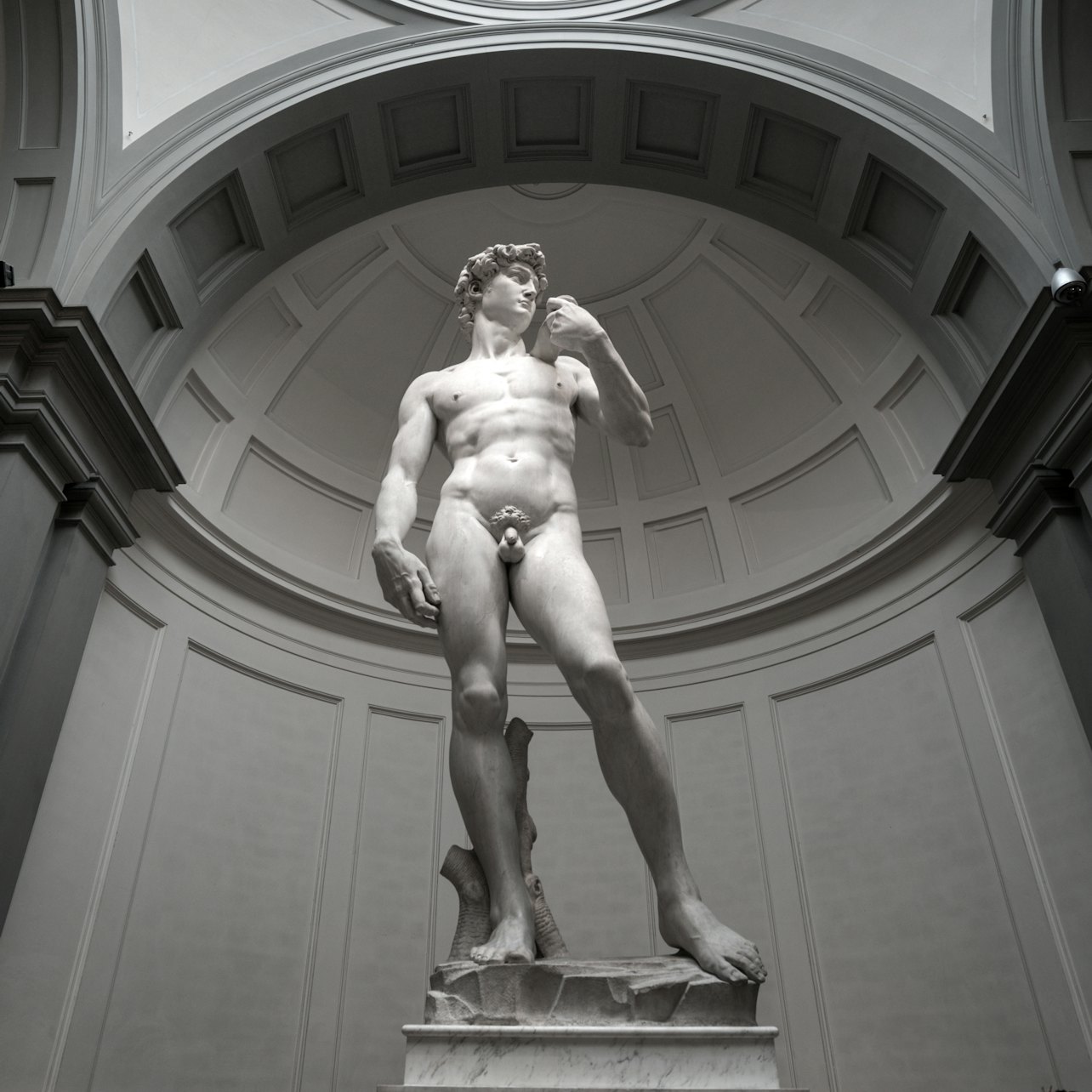 Picture of Galleria dell'Accademia in Florence