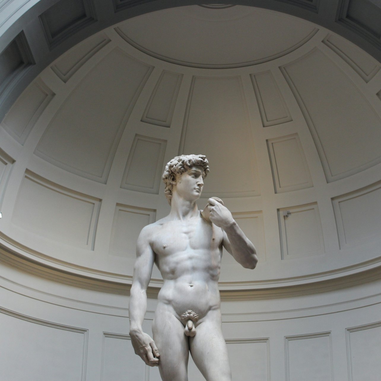 Picture of  in Florence
