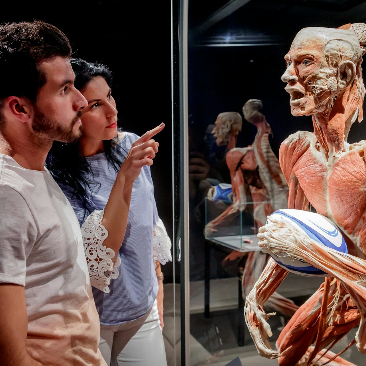 Picture of BODY WORLDS Berlín in Berlín