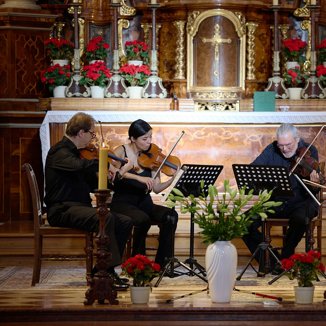 Picture of Vienna Concerts & Opera in Vienna