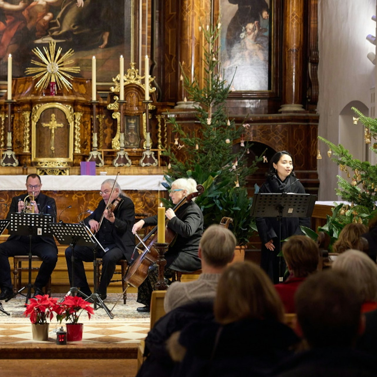 Picture of Vienna Concerts & Opera in Vienna
