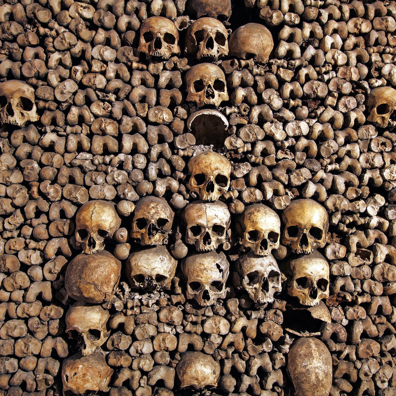 Picture of Les Catacombes de Paris in Paris, France