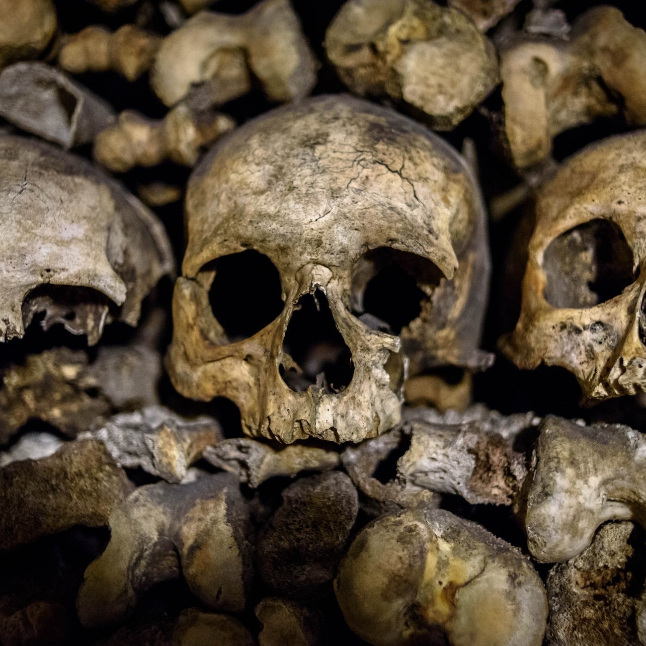 Picture of Les Catacombes de Paris in Paris, France