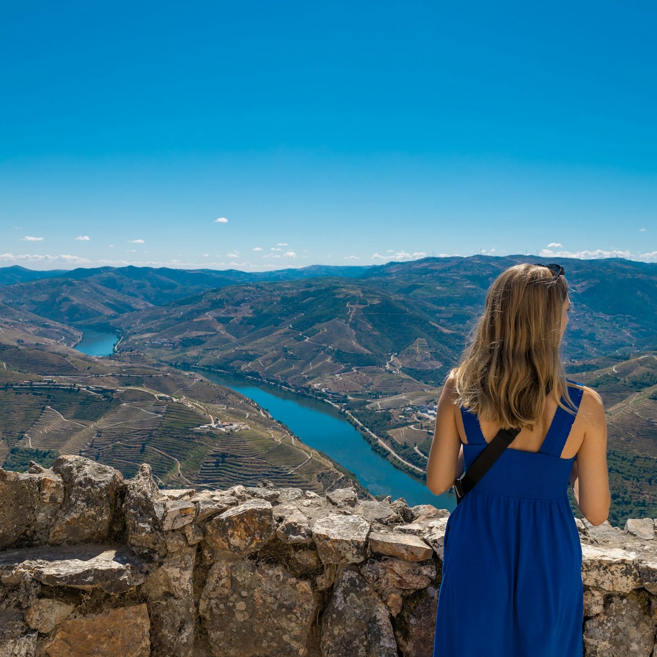 Picture of Douro Valley Day Trips from Porto in Porto