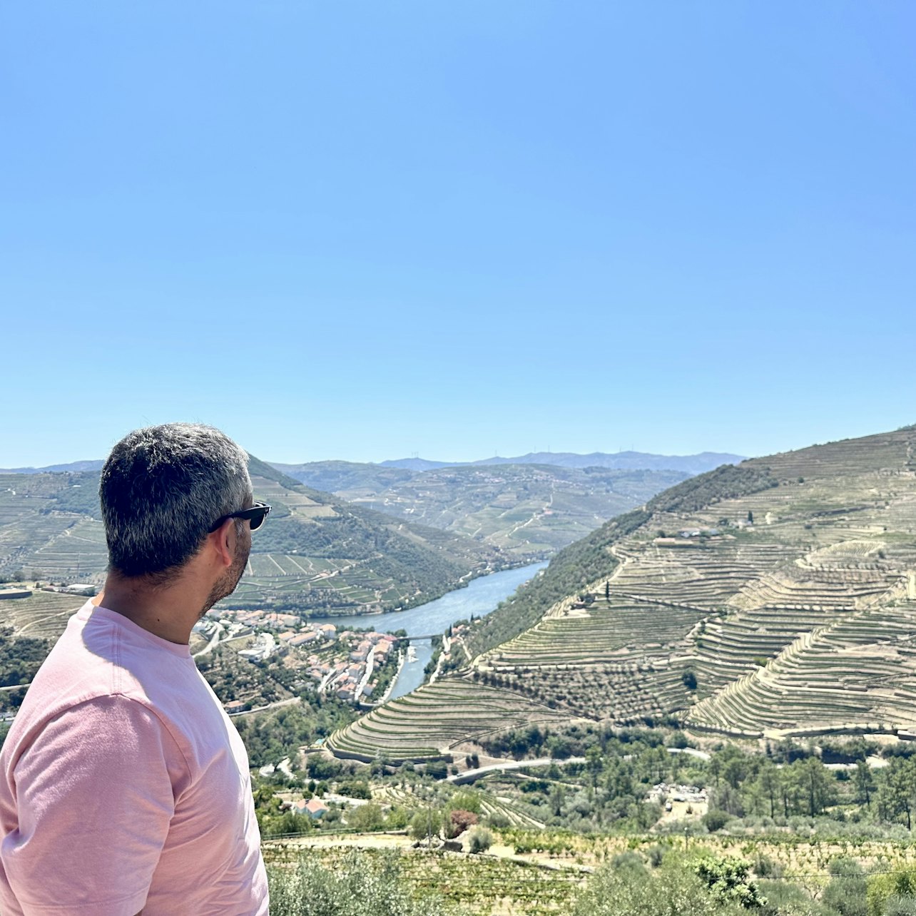 Picture of Douro Valley Day Trips from Porto in Porto