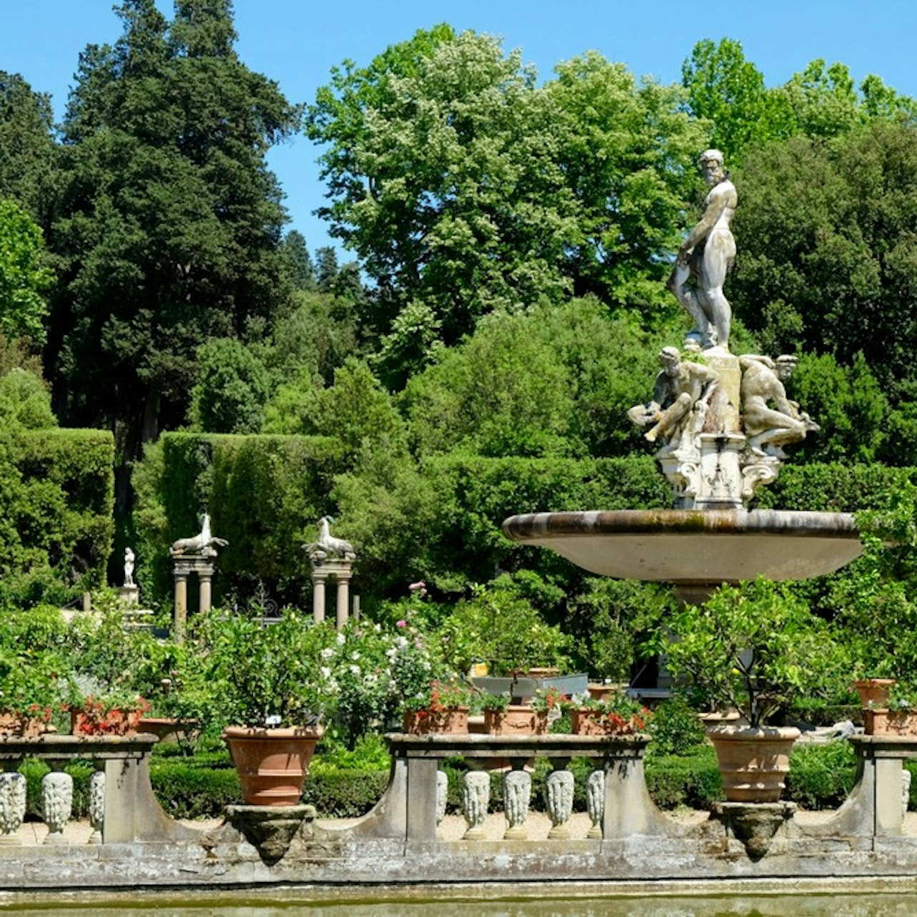 Picture of  in Florence