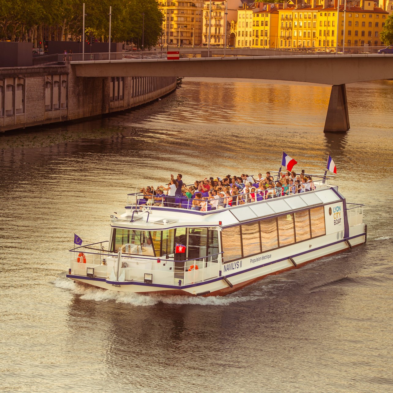 Picture of Lyon Cruises in Lyon