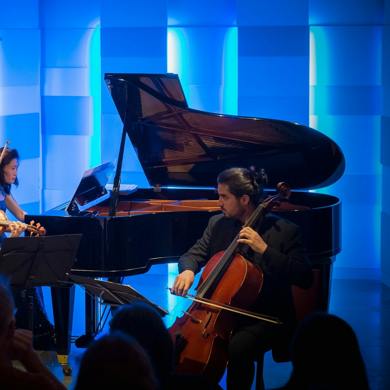 Picture of Vienna Concerts & Opera in Vienna