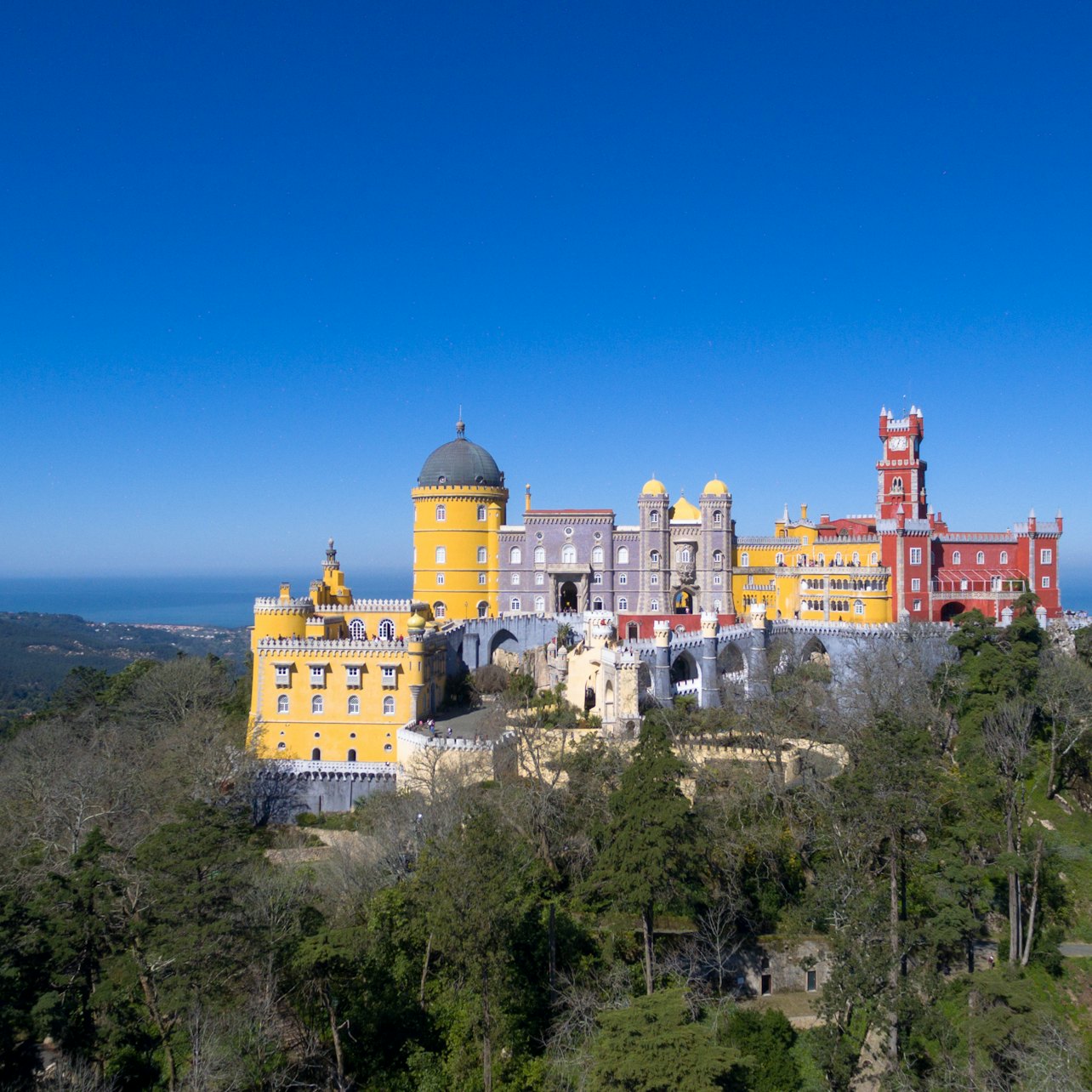 Picture of  in Lisbon