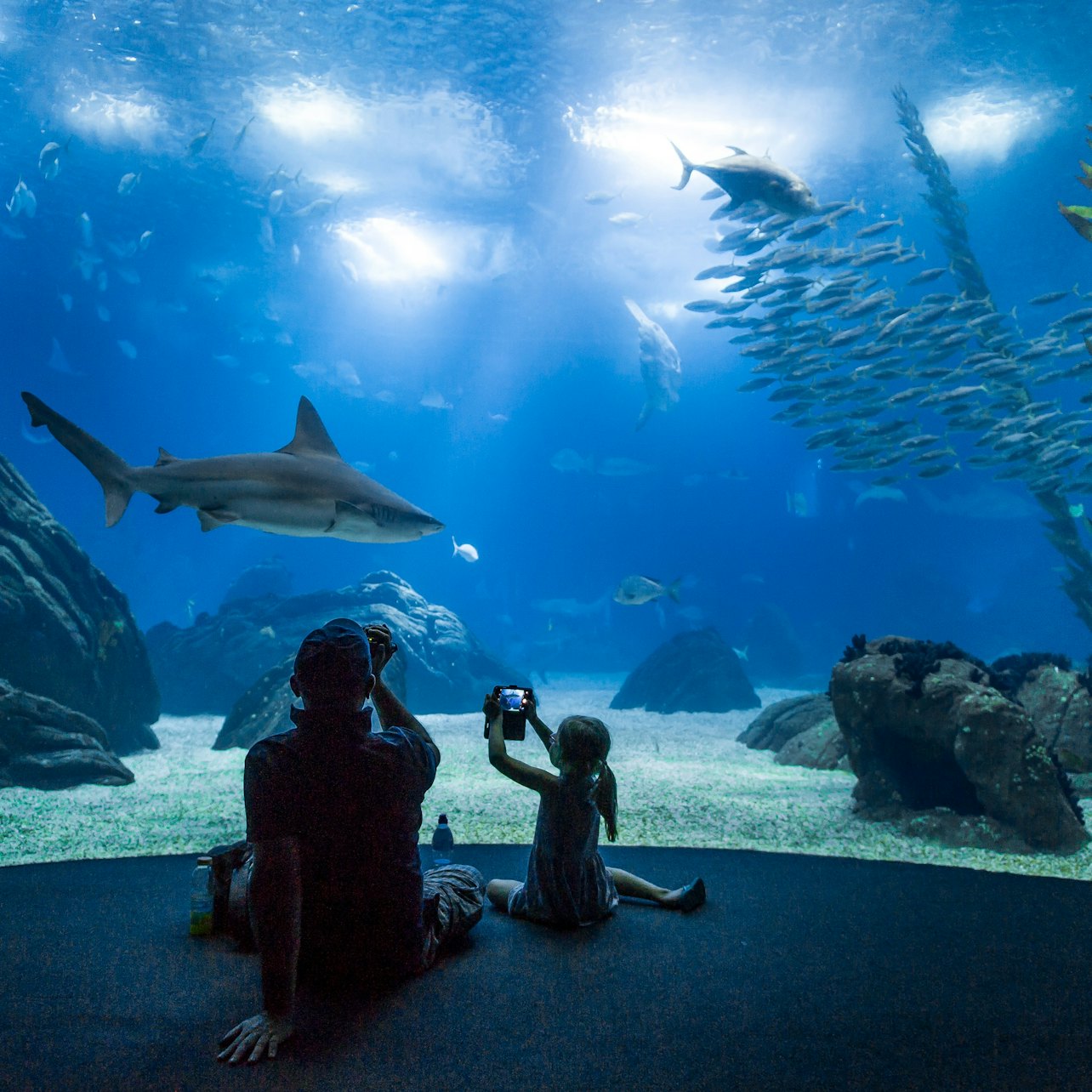 Picture of Oceanário de Lisboa in Lisbon