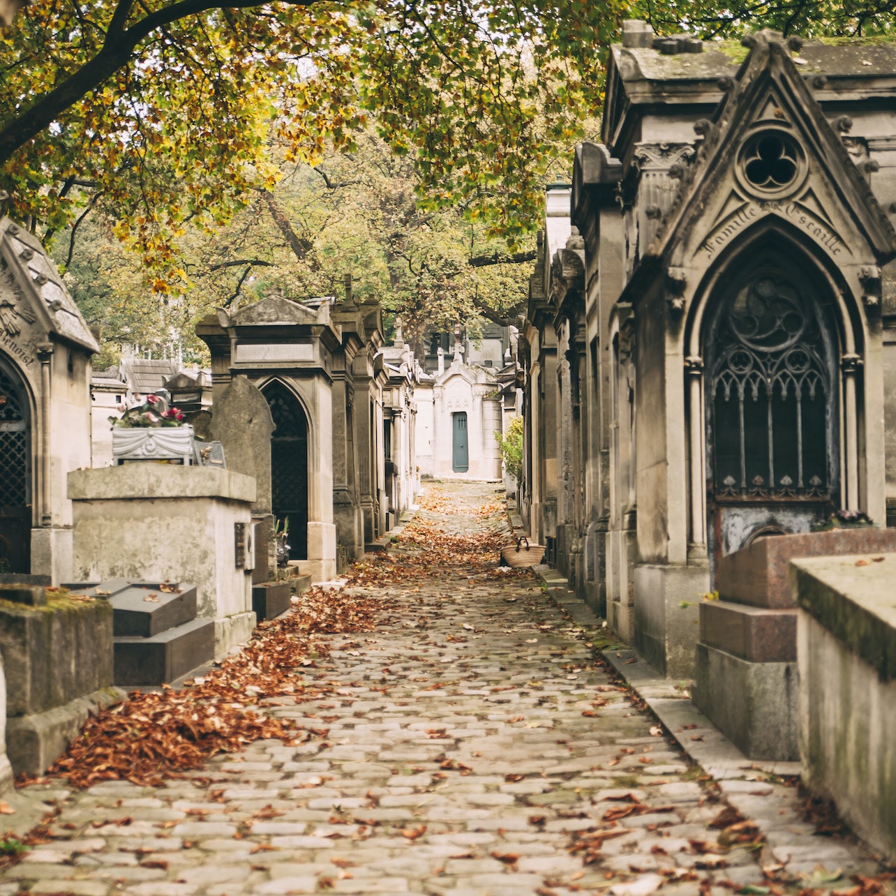 Picture of Père Lachaise Cemetery (Cimetière du Père Lachaise) in Paris, France