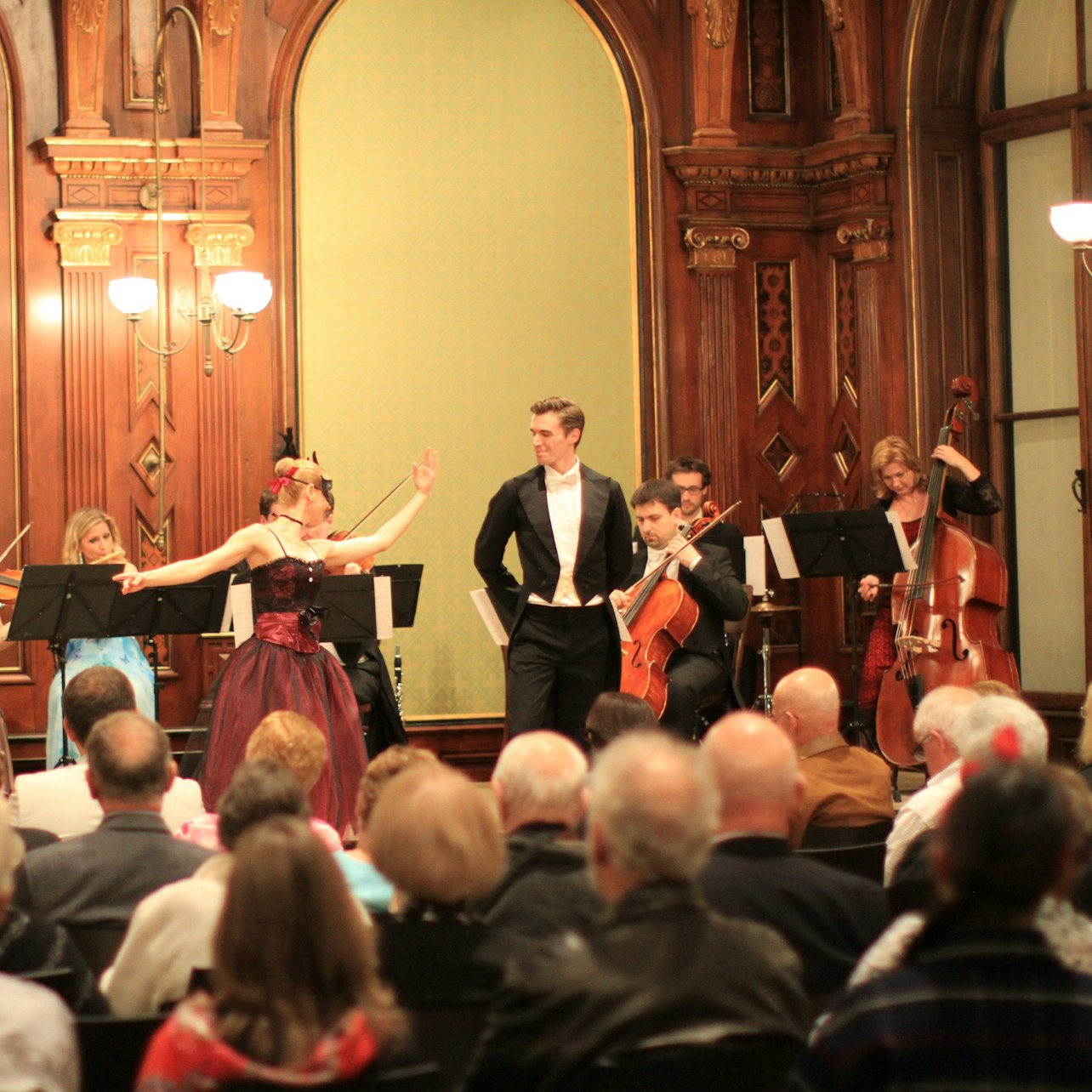 Picture of Vienna Concerts & Opera in Vienna