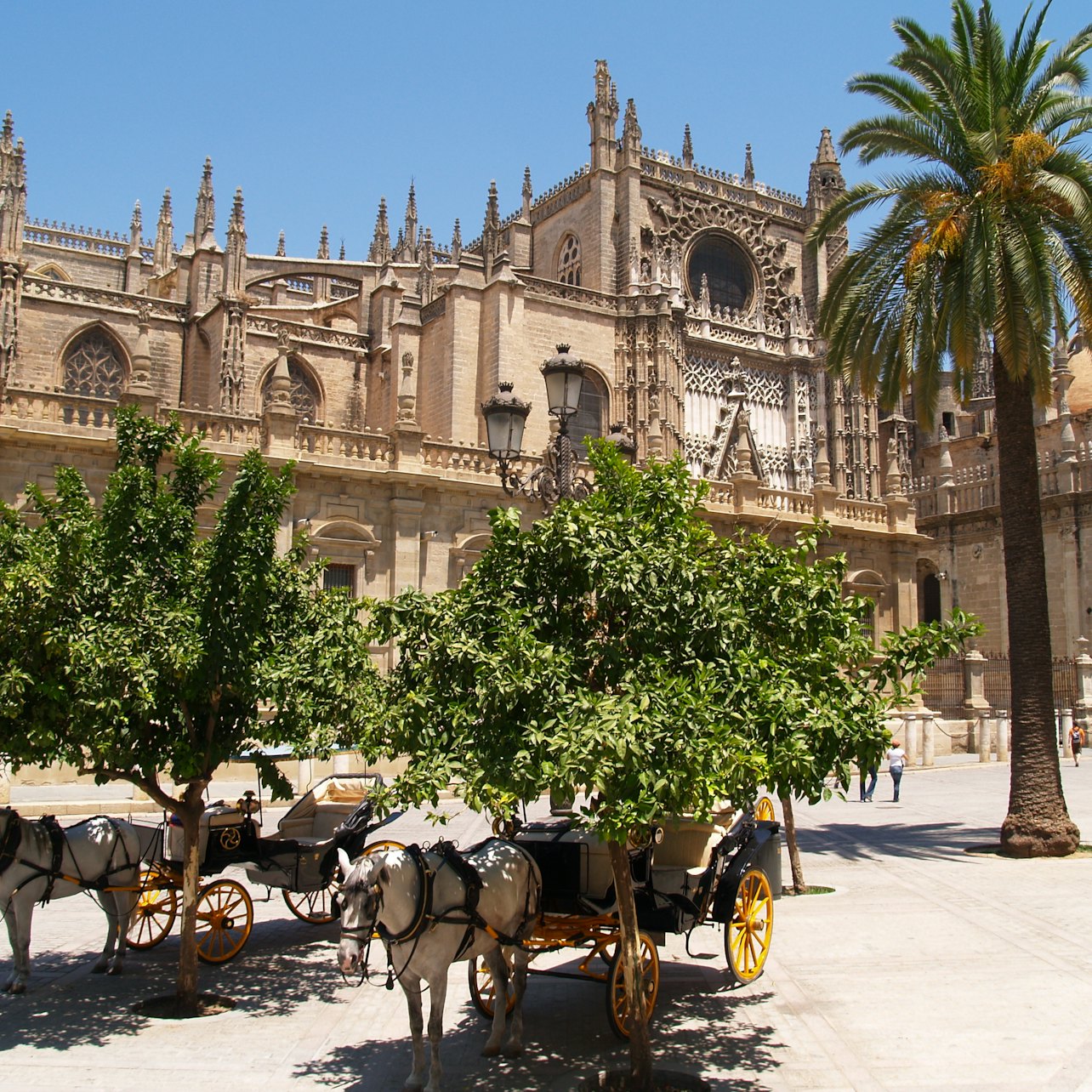 Picture of Real Alcázar de Sevilla in Sevilla