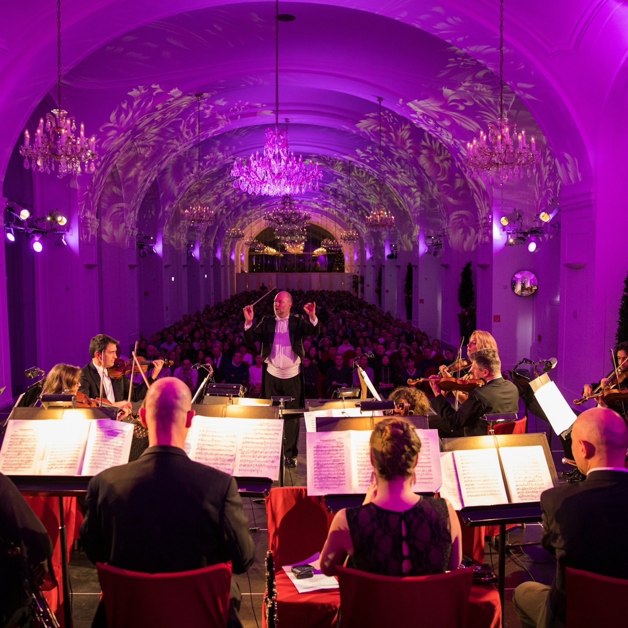 Picture of Vienna Concerts & Opera in Vienna