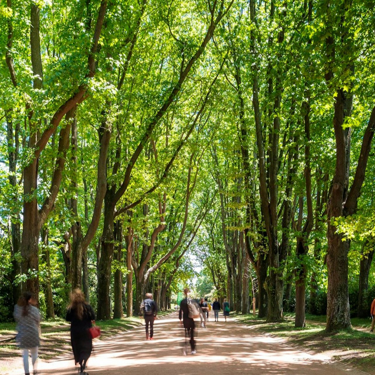 Picture of Serralves Foundation in Porto