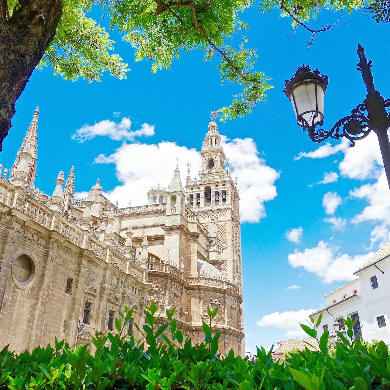 Picture of Catedral de Sevilla in Sevilla